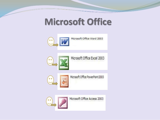 microsoft office basic 2003